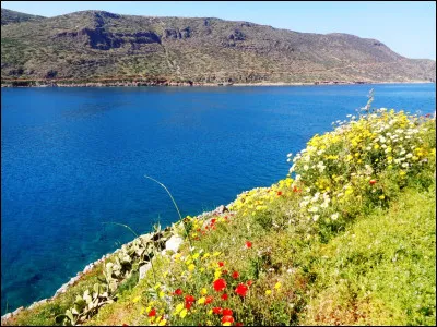 Attention à la prise de poids et aux maladies cardiovasculaires si vous en consommez trop.