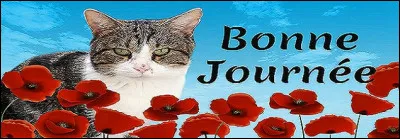 Si l'on change la première lettre du "raki", un alcool anisé, quel résultat obtient-on ?