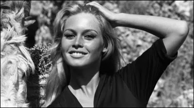 Dans ''La Vérité'' (1960) Charles Vanel est l'avocat de Brigitte Bardot. Qui joue l'avocat de la partie civile ?