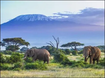 Quelle langue est utilisée en Tanzanie ?