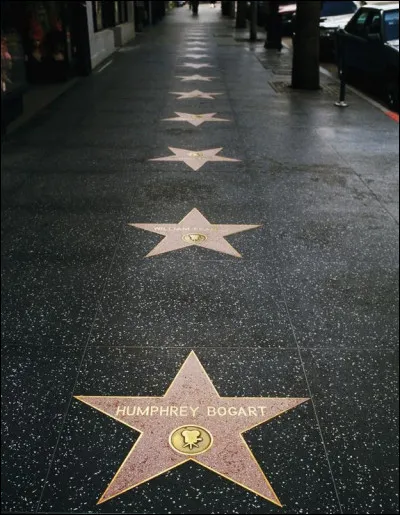 Et enfin une de tes stars préférées est :