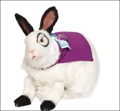 Comment s'appelle-t-il ?