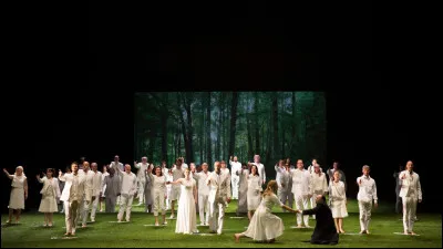 Année : 1791
Compositeur : Wolfgang Amadeus Mozart
Langue originale : allemand 
Personnages : Tamino, Pamina, Papageno...
Mots-clés : Reine de la nuit, oiseleur, carillon, prisonnière...
Quel est le titre de cet opéra ?