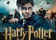 Test Quelle serait ta vie dans Harry Potter ? #1