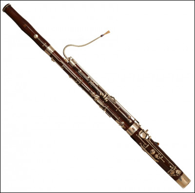 Quel est le nom de cet instrument ?