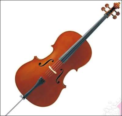 Quel est le nom de cet instrument ?