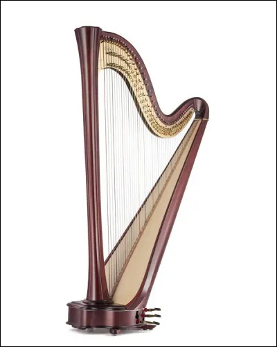 Quel est le nom de cet instrument ?