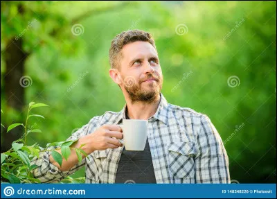 Préfères-tu les livres ou les films ?