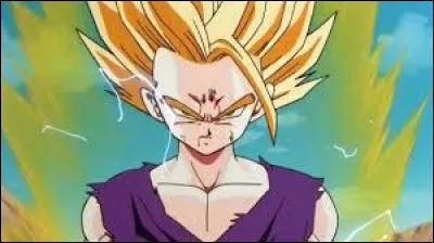 Pourquoi Gohan se transforme-t-il en Super Saiyan 2 ?