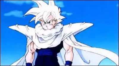 Dans cette saga, Gohan aime-t-il réellement se battre ?
