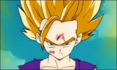 Et par quelle technique ?