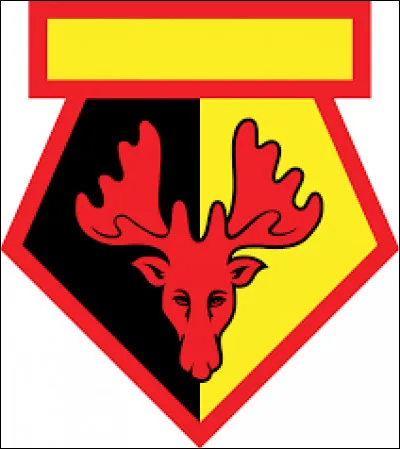 Un peu plus facile. Quelle est cette équipe ?