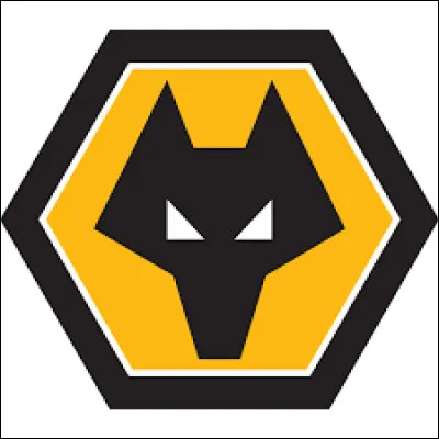 À quelle équipe correspond ce logo ?