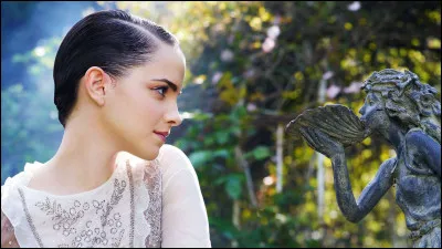 "Le Château de Cassandra" a été écrit par :