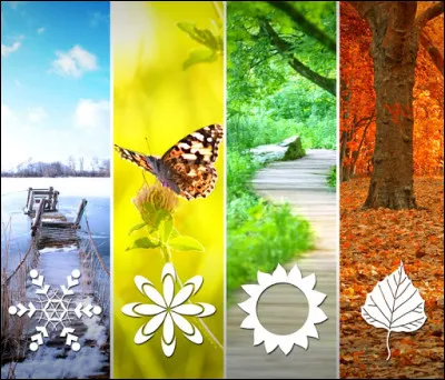 Quelle saison est ta préférée ?