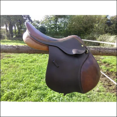 A quelles allures, les mains doivent-elles accompagner les mouvements de l'encolure du cheval ?