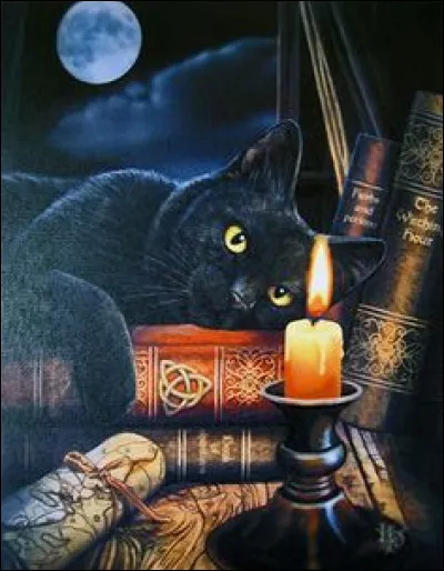 "Le chat qui se fait moine n'oublie pas ses habitudes" signifie :