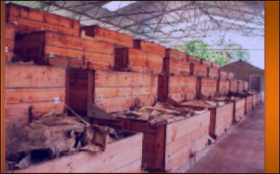 La durée de la fermentation, très variable suivant le type du cacaoyer, suivant les conditions climatiques, l'importance de la masse de cacao en fermentation et la méthode utilisée. On apprécie le moment opportun pour arrêter la fermentation d'après des critères subjectifs :