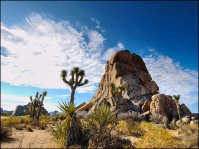 Sur quel continent trouve-t-on le désert de Mojave ?
