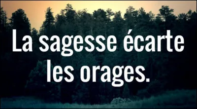 De qui est cette citation d'un grand sage, à méditer en ces jours sombres : "Accepte ce qui est, laisse aller ce qui était, et aie confiance en ce qui sera" ?