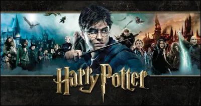 Et enfin, quel personnage d'"Harry Potter" préfères-tu ?