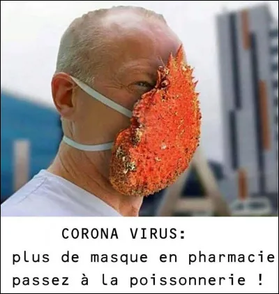 De ces trois animaux, l'un possède une carapace !