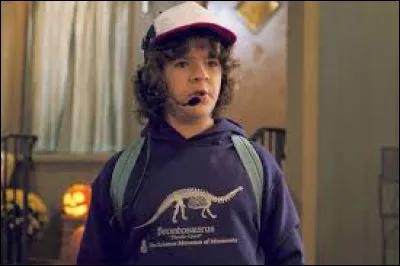 Comment s'appelle le chat de Dustin ?