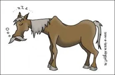 Ensuite je voudrais savoir leur espérance de vie.