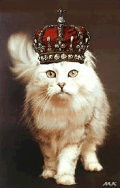 À fréquenter les chats, on ne risque que de/d' ________.