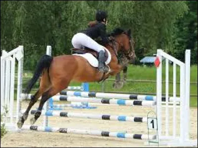 Y a-t-il toujours de la musique en concours ?