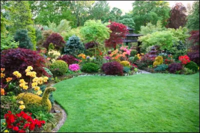 Ton jardin c'est...