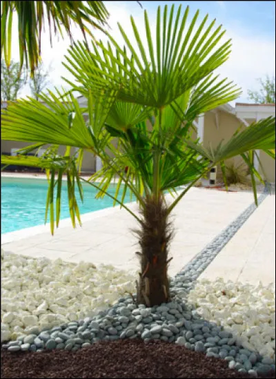 Tes vacances c'est...