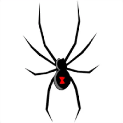 Studio : Marvel 
Capacités : Vieillissement ralenti, système immunitaire renforcé
Ennemis : Les Super-soldats soviétiques, Thanos 
Interprétée à l'écran par : Scarlett Johansson 
Qui est ce super-héros féminin ?