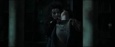Nous sommes arrivés dans le salon du manoir ! Une horrible scène nous attend, Bellatrix Lestrange menaçant d'égorger TheSlytherin ! '' Qui avons-nous là, toute l'équipe de Quizz Biz, plus Adrienne09 ! Quelle chance j'ai ! Adrienne09, révèle-moi le langage des serpents et je relâcherai ta meilleure amie, révèle-moi le langage des serpents qu'on appelle aussi le...''