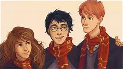 Bellatrix Lestrange est morte ! Nous avons réussi ! TheSlytherin court vers nous et nous dit : '' Vous êtes tous très courageux et intelligents comme...