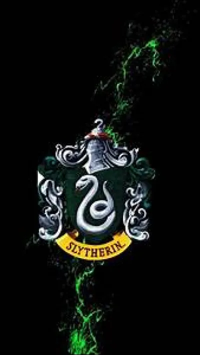 Les indices ne correspondent pas. Mais, approchons-nous de Poudlard... TheSlytherin est une élève de Serpentard ! Allons demander à son directeur de maison qui est...