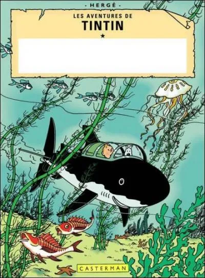 Quel est le titre de cet album ?