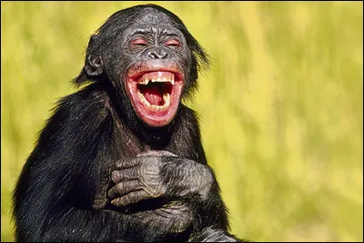 Le comique peut être...