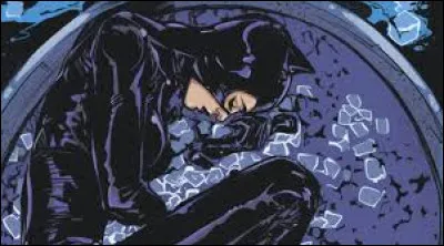 Année d'apparition : 1940
Autre identité : Selina Kyle
Au commencement : Jeune fugitive d'un centre de détention.
Spécialité : Agilité et acrobatie. 
Qui est ce Méchant ?