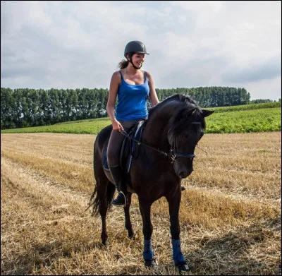 Si on te proposait d'abord de faire un tiers de pension ou une demi-pension au lieu de posséder votre cheval immédiatement, quelle serait votre réaction ?