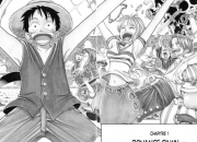 Quiz One Piece - Chapitre 1 - Romance Dawn - à l'aube d'une grande aventure