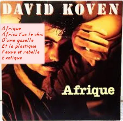 1985 > Après les balles, pleuvent toujours les poncifs sur l'Afrique : la chanson de ce natif de ... n'y échappe pas. Mais que ce passe-t-il, cette même année ?