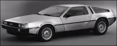 Mme DeLorean, je vois ici que votre carrière commerciale fut terriblement chaotique. Mais pouvez-vous m'en rappeler la cause ?