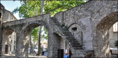 Petite ville de 7 600 habitants du Vallespir, dans la vallée du Tech, sous-préfecture du département des Pyrénées-Orientales :