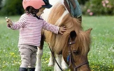 Quiz Galop 1