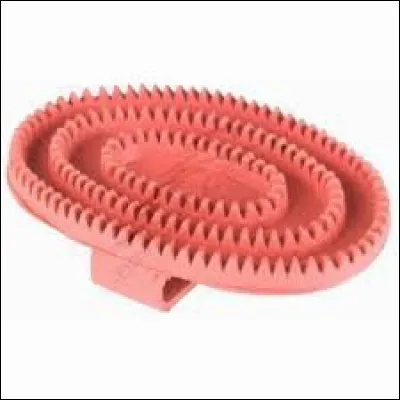 Quelle est cette étrille sur la photo ?