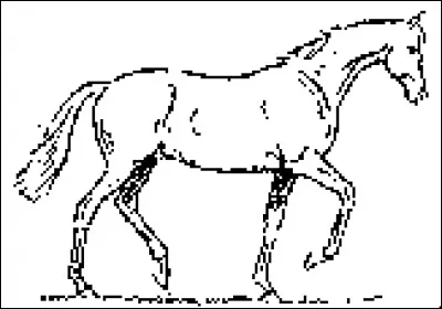 Quelle est l'allure du cheval sur la photo ?