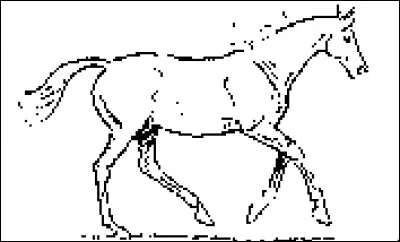 Quelle est l'allure du cheval sur la photo ?