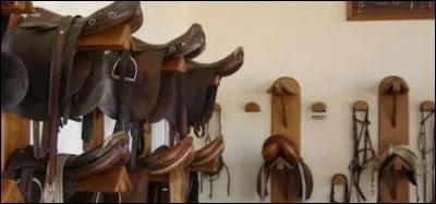 Quel est l'endroit où l'on range la selle, le tapis, le filet et le licol de son poney ?