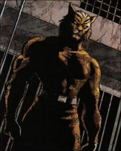 Première apparition : 1975
Alias : Benjamin Turner
Au commencement : Expert en arts martiaux qui a subi un lavage de cerveau. 
À propos : Il fut condamné par ''La Ligue des Assassins''.
Qui est ce méchant ?